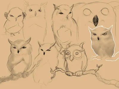 Owls birds digital painting ears owls photoshop