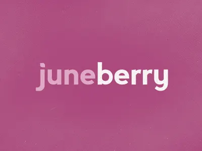 juneberry logo branding logo software