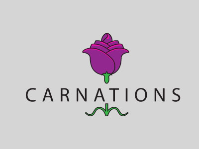 Carnations (Branding) branding graphic design identity logo design