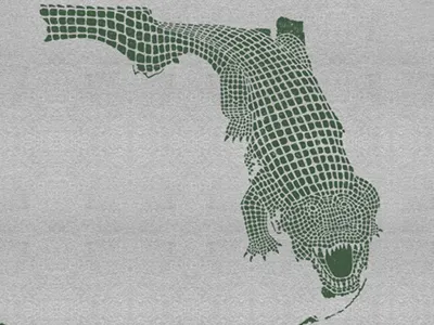 Florida Gator alligator florida gators threadless uf university of florida