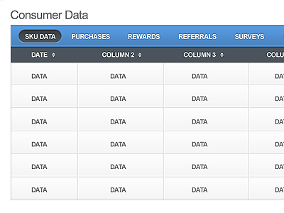 Customer data 2 modal tables window