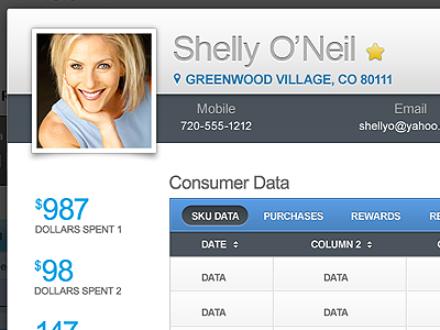 Customer data 1 modal tables window