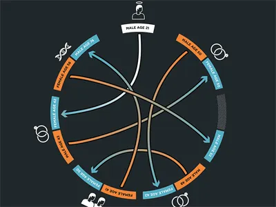 Stanford Magazine: Algorithm Meets Altruism donation infographics stanford transplant university
