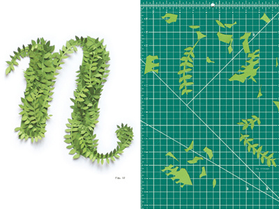 Cut paper cut paper nature typography