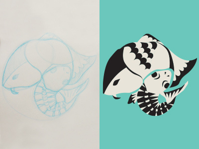 fish fish process sketch vector