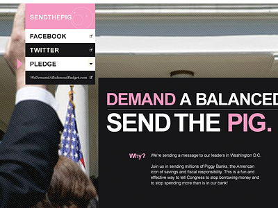 SEND THE PIG clean design pig pink politics typography