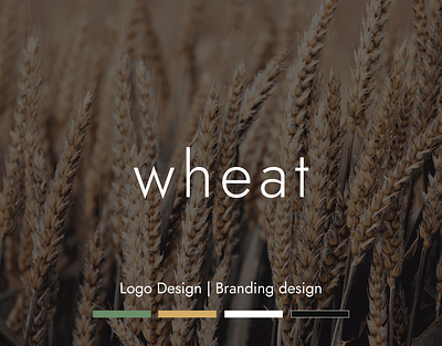 Wheat Brand Identity Design | Logo Design | Braning branding design graphic design illustration logo logo design typography vector