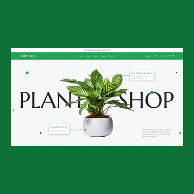 Plant Shop Website ui