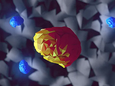 Brains 3d 4d brain brains c4d cinema low poly