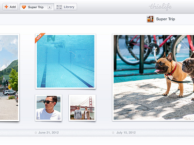 ThisLife Story View date photos ribbon story videos