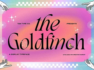 TAN - THE GOLDFINCH elegant font elegant typeface serif font serif type serif typeface stylish font