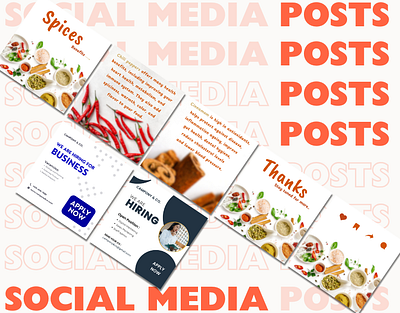 Social Media Posts canva canva design graphic design graphic designer instagram instagram carousel instagram graphic design instagram graphics single post designs social media canva social media post design social media posts social media template social media templates