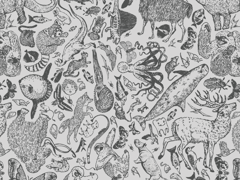 Sweeteeth Pattern patterns