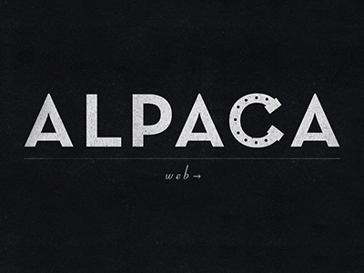 Alpaca Logo Design Direction alpaca logo