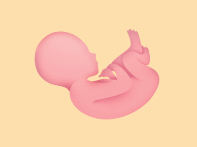 Fetus