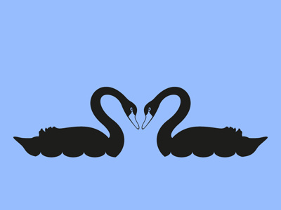 Black Swan Couple animal animals bird black swan couple daily pictogram elegant heart icon love pictogram romance swan swimming tumblr water