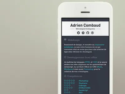 Personal Website html5 iphone minimalist personal website responsive skill webdesign website