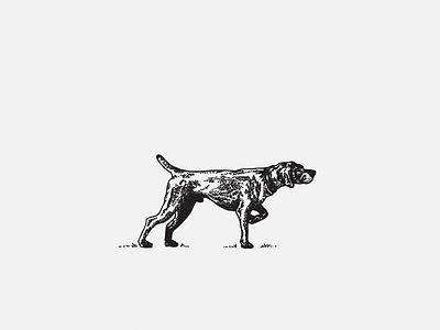 Pointer dog extra illustration pointer vector