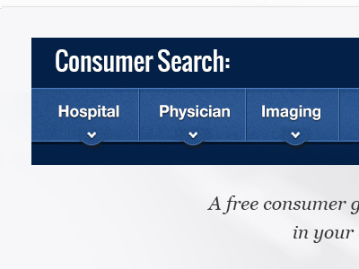 Healthcare Navigation blue georgia navigation oswald