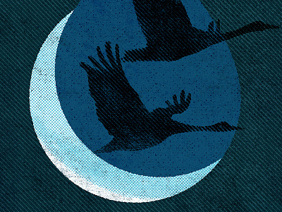 Moonshiner band bird illustration moon texture water