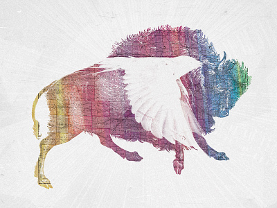 Buffalo Bird album art bird bison buffalo color flying map texture