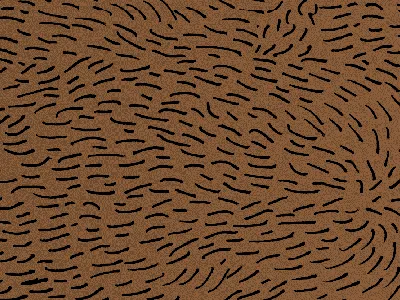 Swimming with the sharks