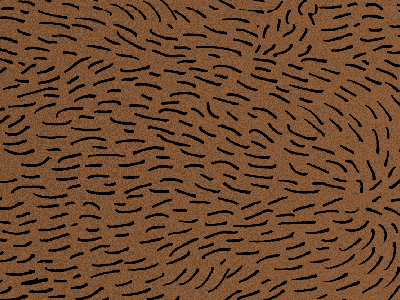 Swimming with the sharks