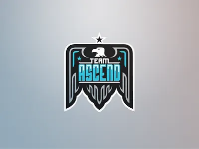 Ascend arts ascend martial team