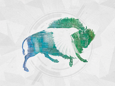 Buffalo Bird 2 album art bird bison buffalo color flying map texture