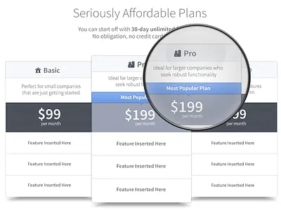 Pricing Chart architecture clean experience handsome ia information information architecture marketing marketing site marketing website pricing pricing chart startup startups typography user experience user experience ux web