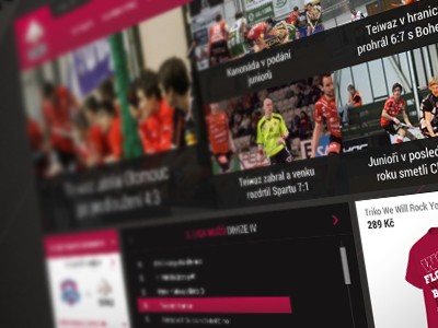Teiwaz website dashboard floorball homepage innebandy news rune teiwaz viking web web design website