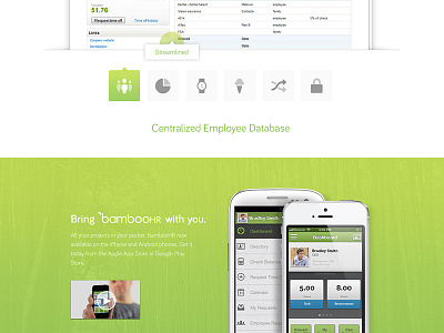 BambooHR bamboo bamboohr branding design focus lab green software ui web web design