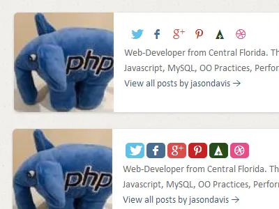 Blog Author Social Icons blog social