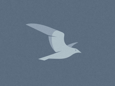 Up in the sky... bird in progress vector