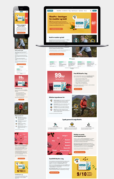 VitaePro 2023 responsive webdesign