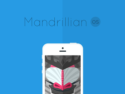 Mandrillian baboon iphone5 mandrill os