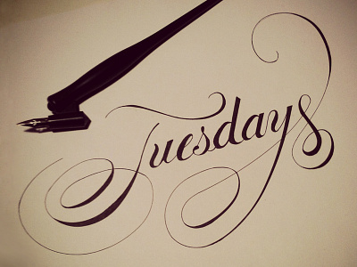 Tuesdays Script cursive handdrawn ink lettering nib ornament paper script sketch speedball spencerian swash tuesday type typetuesdays typography wedding