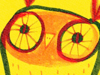 Colour Owl