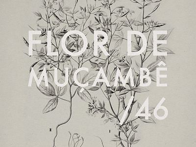 Flor de Muçambê print type