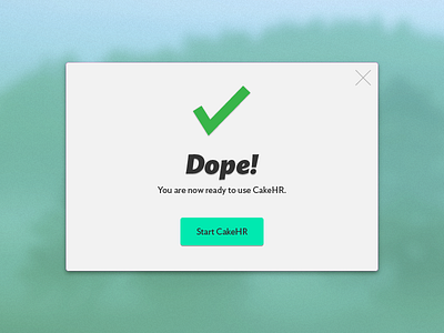 CakeHR flat green interface minimal modal simple ui user window