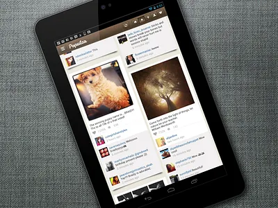 Pictacular - Instagram Viewer for Android - Portrait Mode android app brown instagram photos pinterest tablet waterfall
