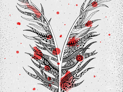 Feather 2 hand drawn illustration