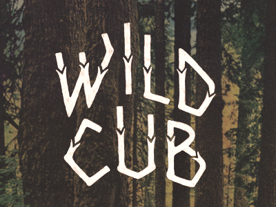 Wild Cub