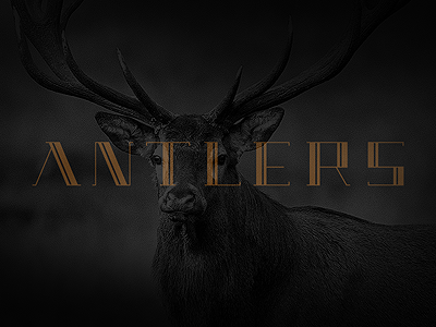 Antlers branding logo