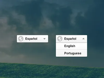 Language Switch combo dropdown interface language switch ui ux website