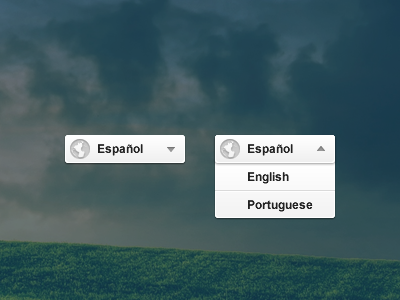 Language Switch combo dropdown interface language switch ui ux website