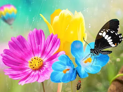 Flowers butterfly cmyk flowers myck