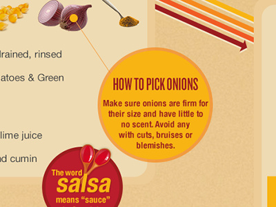 Recipe Graphic Callout infographic recipe vector