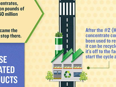 Recycling Infographic detail