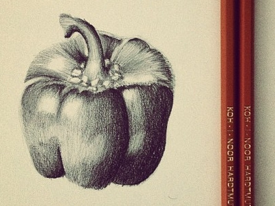 Going Traditional art detail draw drawing fine fineart old oldschool pencil pepper photo pic sketch traditional